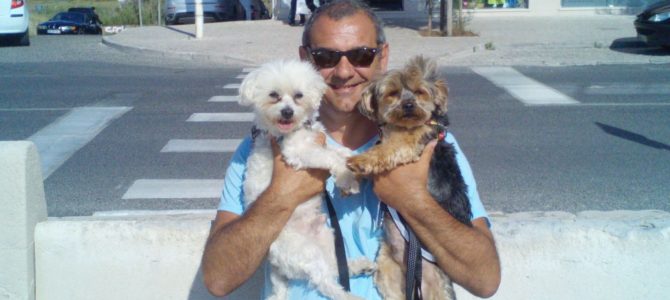 Vacanze in Spagna con i cani: come comportarsi.